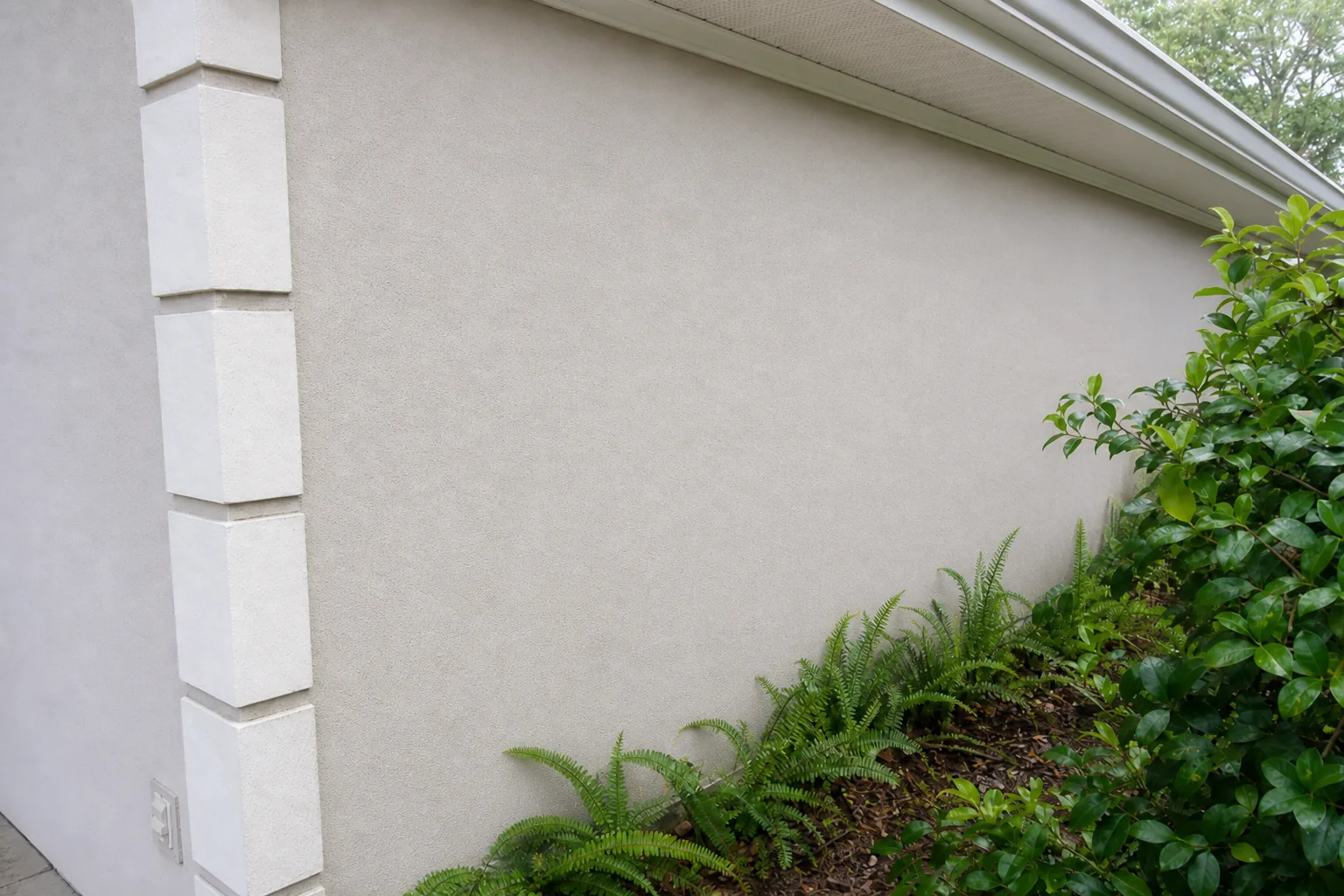 After soft washing Jacksonville home siding with algae removed