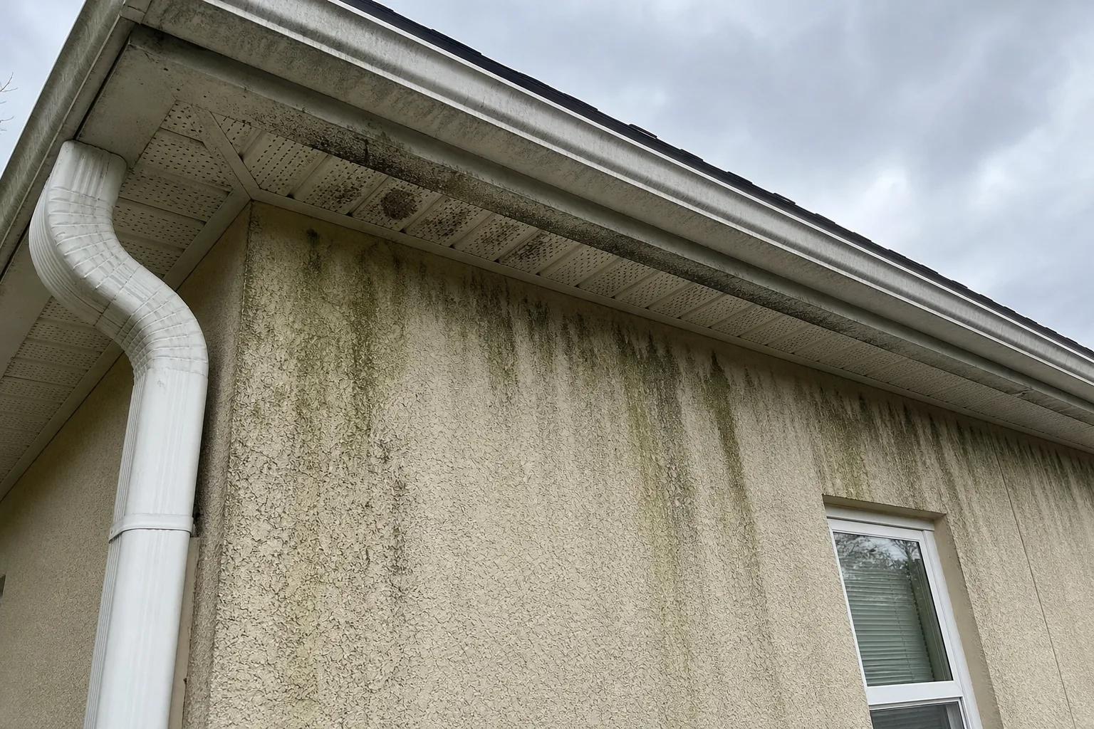 Before soft washing: algae streaks under Jacksonville soffits and eaves